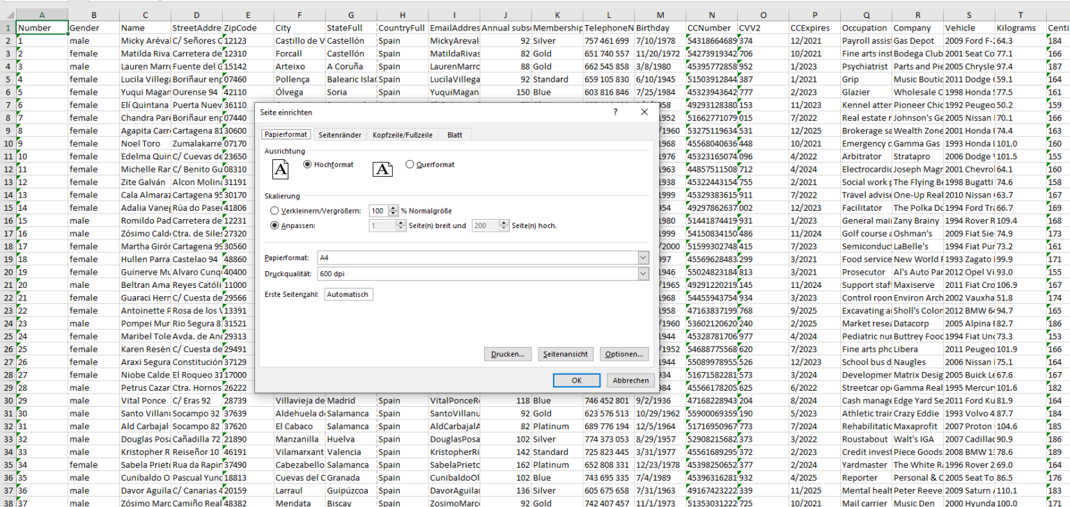 Seitenlayout Excel Nervt